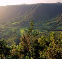 Pine Grove Circuit - Perisher Accommodation