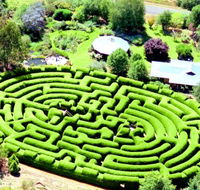 Wandiligong Maze - Perisher Accommodation