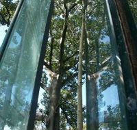Sydney Sculpture Walk - Perisher Accommodation