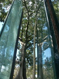 Sydney Sculpture Walk - Perisher Accommodation 0
