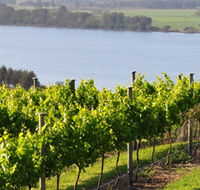 Two Figs Winery - Perisher Accommodation