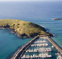Muttonbird Island Nature Reserve - Perisher Accommodation