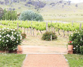 Brindabella Hills Winery - Perisher Accommodation 0