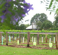 Douglas Vale Historic Homestead  Vineyard - Perisher Accommodation