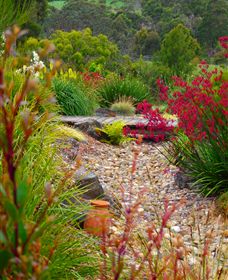 Ungulla Country Garden - Perisher Accommodation 1