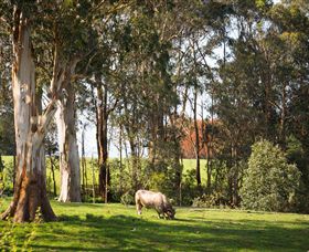 Ungulla Country Garden - Perisher Accommodation 8