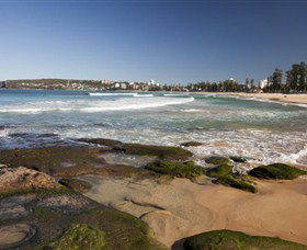 Manly Surf School - Perisher Accommodation 5