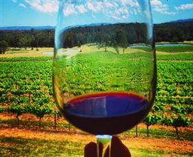 One Day Hunter Valley Day Tours And East Coast Adventures - Zepher Tours - Perisher Accommodation 4