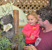 Blue Diamond Tours - Perisher Accommodation
