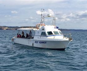 Deep Sea Fishing Charter - Perisher Accommodation 3