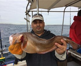 Deep Sea Fishing Charter - Perisher Accommodation 5