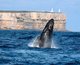 Cloud9 Tours - Perisher Accommodation 4