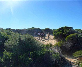 Dingo Tours - Perisher Accommodation 7