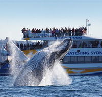 Bass  Flinders Cruises - Perisher Accommodation