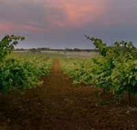 Wine Class - Perisher Accommodation