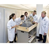 Behind the Scenes Tours at Australian Museum - Perisher Accommodation