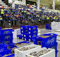Sydney Fish Market - Perisher Accommodation