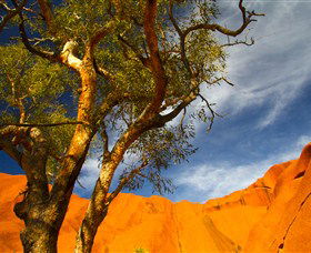 The Artery Aboriginal Art - Perisher Accommodation 2