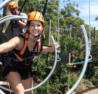 Wild Ropes at Taronga Zoo - Perisher Accommodation
