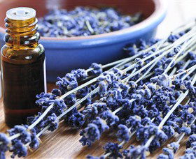 Pure Botanicals - Perisher Accommodation 2