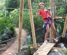 Urban Jungle Adventure Park - Perisher Accommodation 0