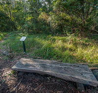 Browns Forest loop trail - Perisher Accommodation