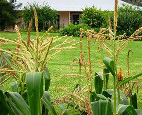 Experiment Farm Cottage - Perisher Accommodation 4