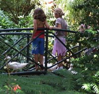 EG Waterhouse National Camellia Garden - Perisher Accommodation