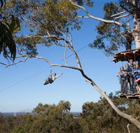 TreeTop Safari - Perisher Accommodation