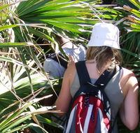 Palm Jungle loop track - Perisher Accommodation