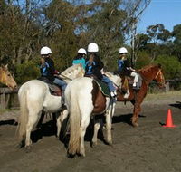 Darkes Forest Riding Ranch - Perisher Accommodation
