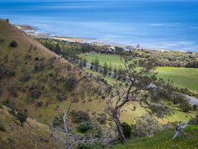 Lady Bay Beach - Perisher Accommodation 1