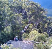 Mia Mia State Forest - Perisher Accommodation
