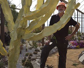 Cactus Country - Perisher Accommodation 0