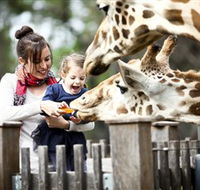 Taronga Western Plains Zoo Dubbo - Perisher Accommodation