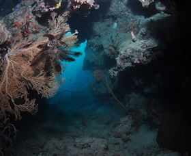 Luncheon Bay Dive Site - Perisher Accommodation 2