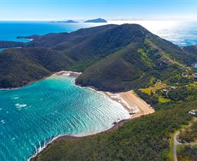 Birdwatching On Keswick Island - Perisher Accommodation 1