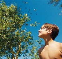 Bushwalking on Keswick Island - Perisher Accommodation