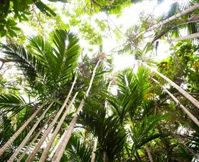 Bushwalking On Keswick Island - Perisher Accommodation 1