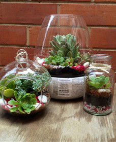 Blooms On Bridge - Perisher Accommodation 6