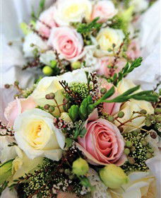 Blooms On Bridge - Perisher Accommodation 7