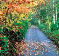 Mount Wilson and Mount Irvine - Perisher Accommodation