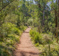 Mares Forest Creek walking track - Perisher Accommodation