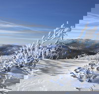 Rock Creek snowshoe track - Perisher Accommodation