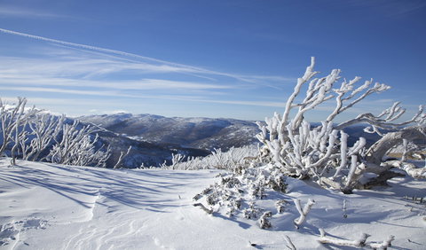 Rock Creek Snowshoe Track - Perisher Accommodation 0