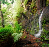 Fairy Bower Falls - Perisher Accommodation