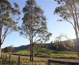 Tourist Drive 2 - Bucketts Way - Perisher Accommodation 1