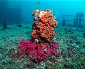 HMAS Brisbane Dive Site - Perisher Accommodation 0