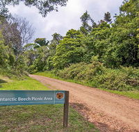 Antarctic Beech picnic area - Perisher Accommodation