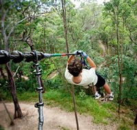 TreeTop Challenge - Perisher Accommodation